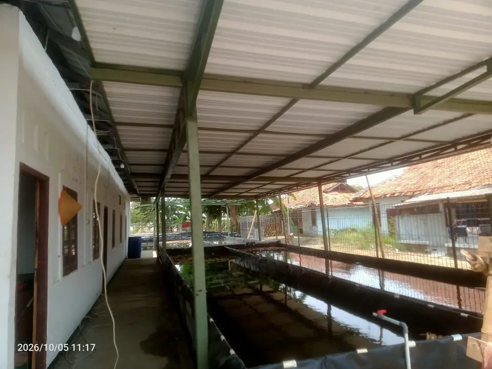 Deretan kolam budidaya dengan struktur naungan