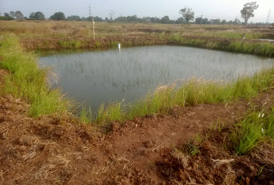 Kolam budidaya ikan dengan air yang tenang di kawasan budidaya Subang