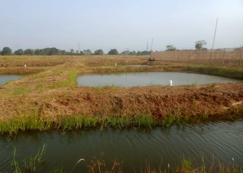 Beberapa kolam tanah berdinding tanah untuk budidaya ikan